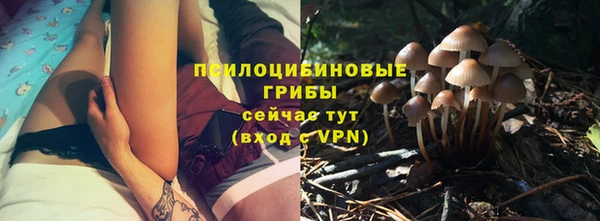 соль курить ск Алексин